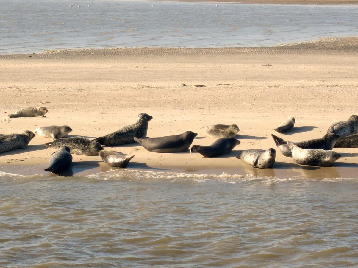 Huus Wattenmeer In Nessmersiel An Der Nordsee Дорнум Екстериор снимка